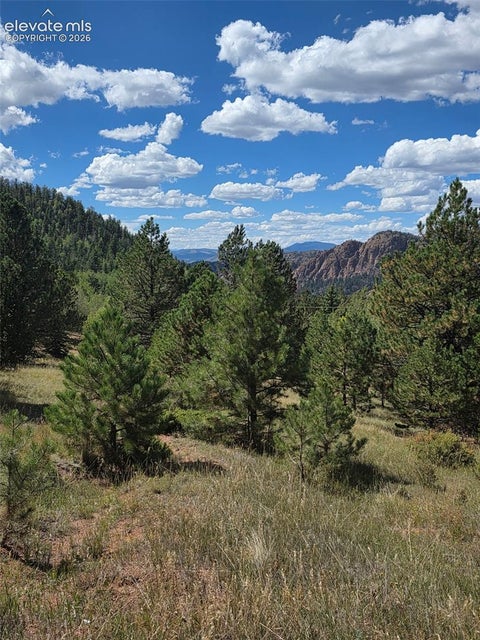 Photo of 181 Troy Drive, Cripple Creek, CO 80813 (MLS # 4016585)