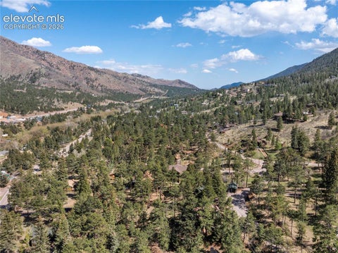 Tiny photo for 9120 Ute Road, Cascade, CO 80809 (MLS # 9288667)