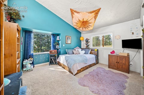 Tiny photo for 330 W Ridge Drive, Woodland Park, CO 80863 (MLS # 9913521)