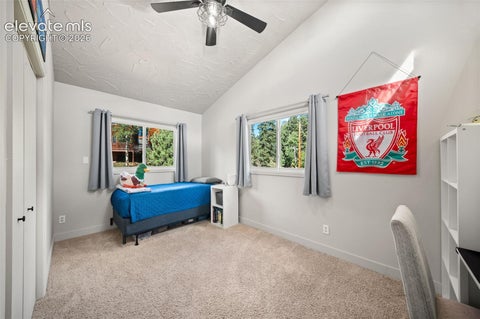 Tiny photo for 330 W Ridge Drive, Woodland Park, CO 80863 (MLS # 9913521)