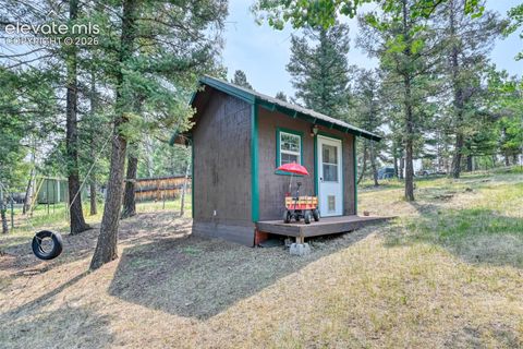 Tiny photo for 53 Iris Road, Woodland Park, CO 80863 (MLS # 1261234)