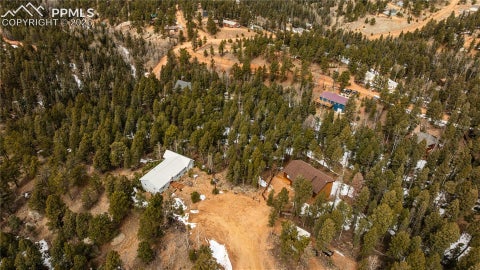 Photo of 43 Dusti Circle, Florissant, CO 80816 (MLS # 8674115)