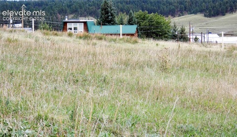 Photo of 149 Will Scarlet Drive, Divide, CO 80814 (MLS # 9795068)