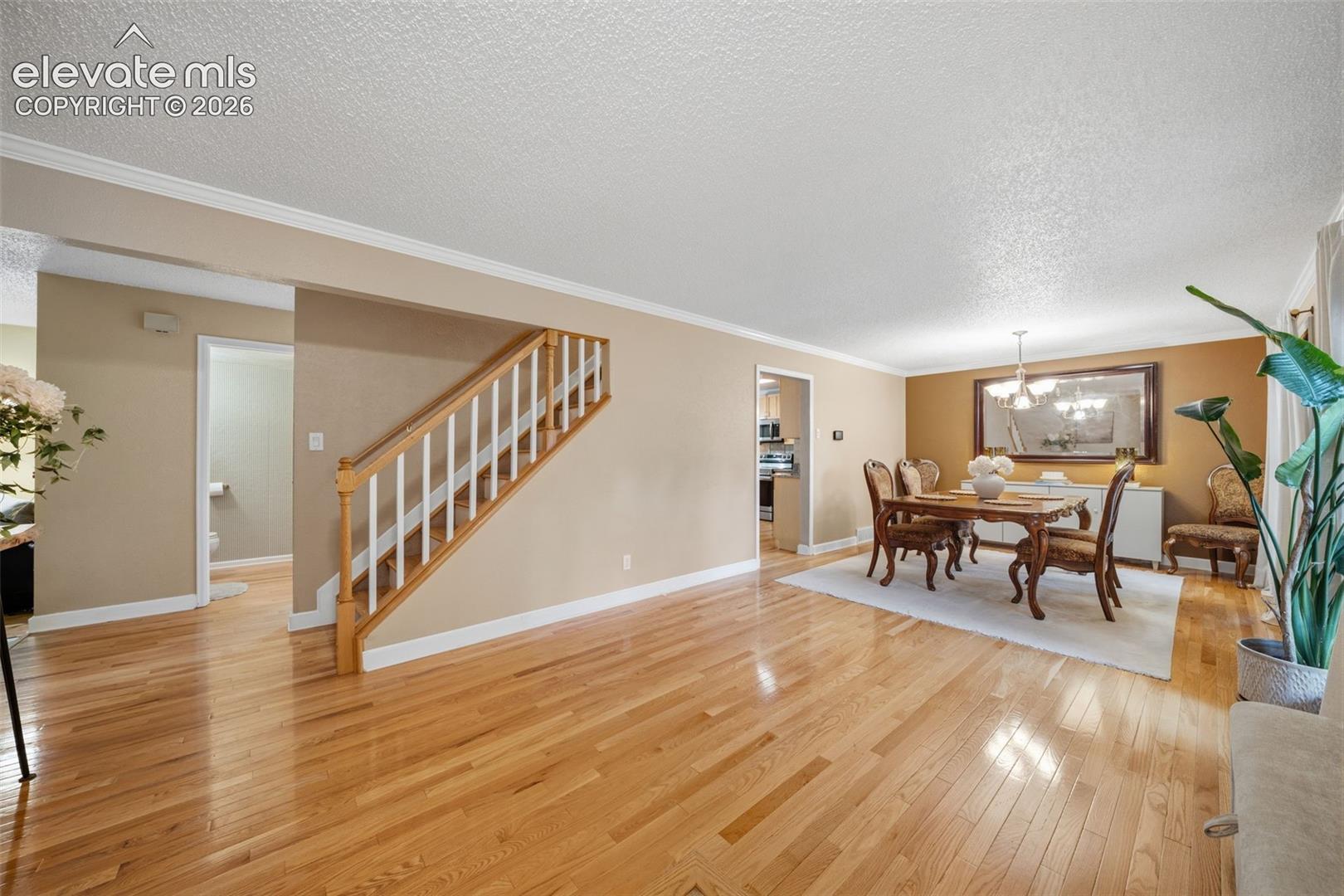202 Blanca Court
