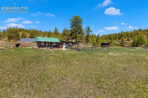 Tiny photo for 185 Canyon Drive, Florissant, CO 80816 (MLS # 7952108)