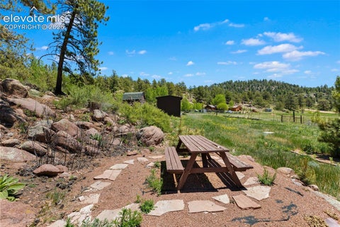 Tiny photo for 185 Canyon Drive, Florissant, CO 80816 (MLS # 7952108)
