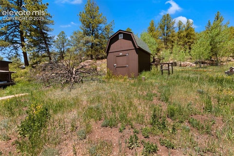 Tiny photo for 185 Canyon Drive, Florissant, CO 80816 (MLS # 7952108)