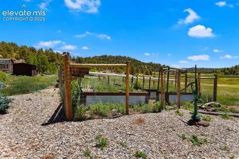 Tiny photo for 185 Canyon Drive, Florissant, CO 80816 (MLS # 7952108)