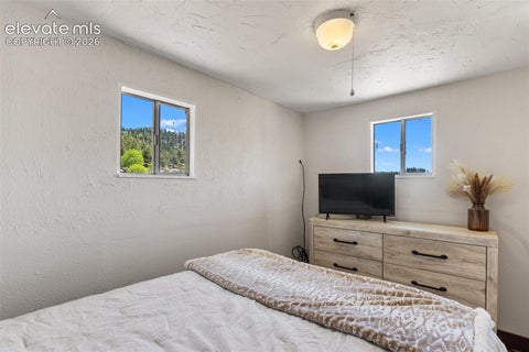 Tiny photo for 185 Canyon Drive, Florissant, CO 80816 (MLS # 7952108)