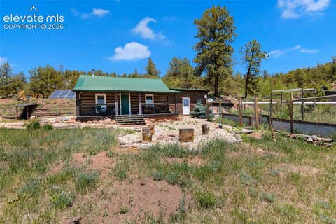 Photo of 185 Canyon Drive, Florissant, CO 80816 (MLS # 7952108)