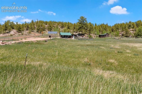 Tiny photo for 185 Canyon Drive, Florissant, CO 80816 (MLS # 7952108)