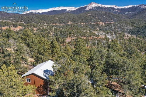 Tiny photo for 493 Horseshoe Drive, Divide, CO 80814 (MLS # 5340531)