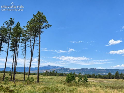 Photo of 13765 Sterling Spires Heights, Colorado Springs, CO 80908 (MLS # 3253914)
