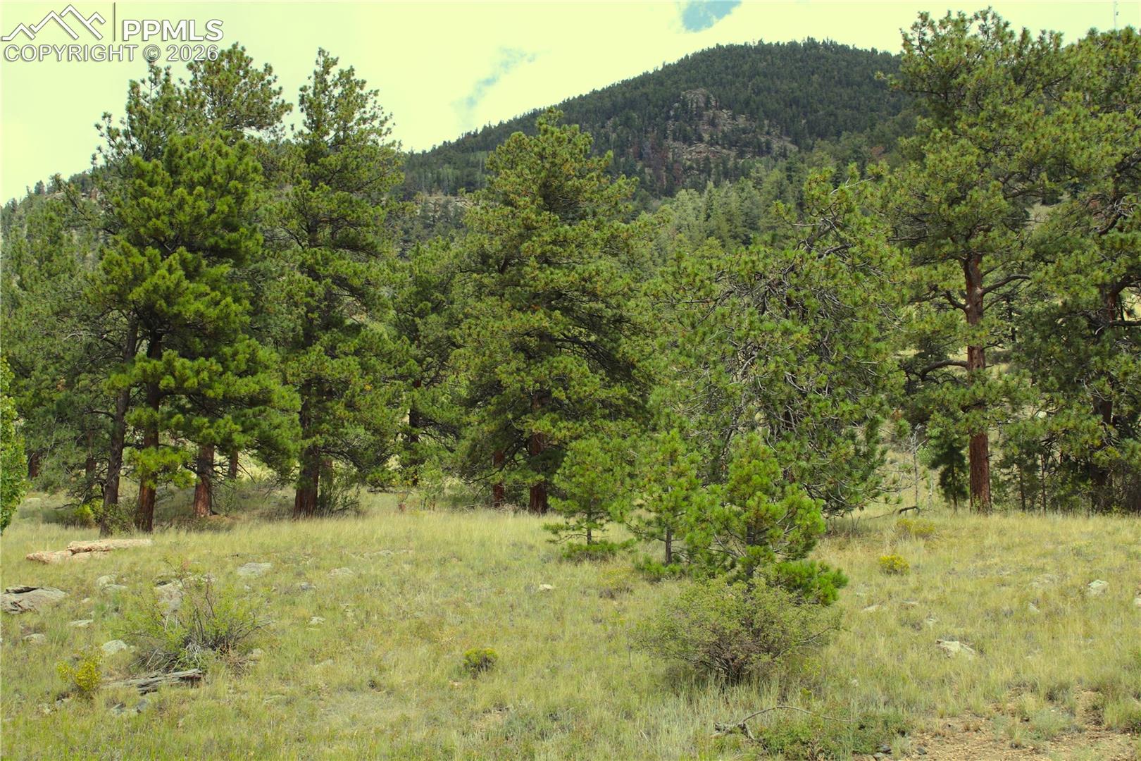 Highway 24