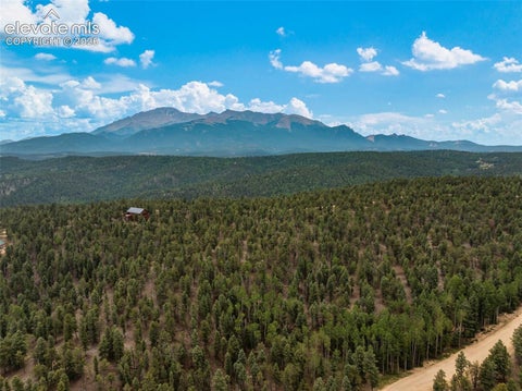 Tiny photo for 9 Arapahoe Street, Woodland Park, CO 80863 (MLS # 7757477)