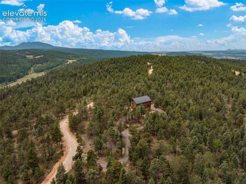 Tiny photo for 9 Arapahoe Street, Woodland Park, CO 80863 (MLS # 7757477)