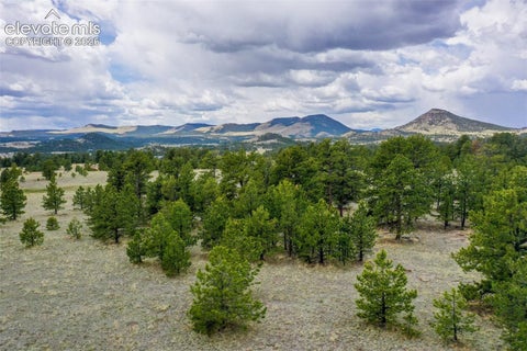 Photo of tbd Doe Valley Road, Guffey, CO 80820 (MLS # 4027361)