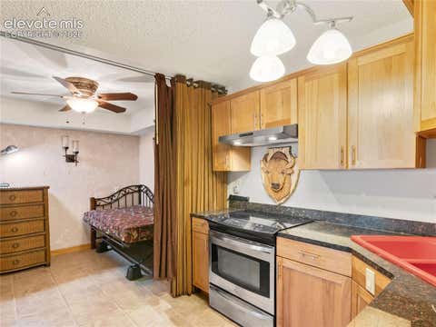 Tiny photo for 380 Paradise Circle #C1, Woodland Park, CO 80863 (MLS # 8714682)