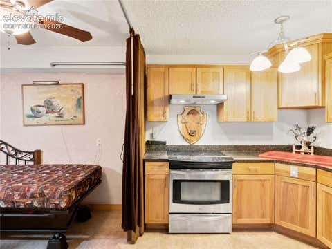 Tiny photo for 380 Paradise Circle #C1, Woodland Park, CO 80863 (MLS # 8714682)