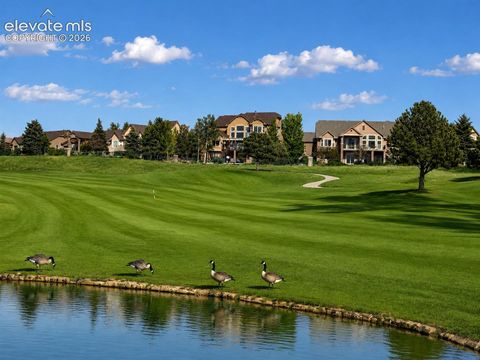 Photo of 9952 Oak Knoll Terrace, Colorado Springs, CO 80920 (MLS # 1643135)