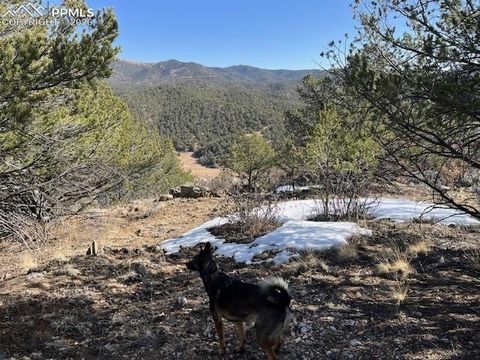 Photo of 17 S Dunn Drive, Canon City, CO 81212 (MLS # 1802604)