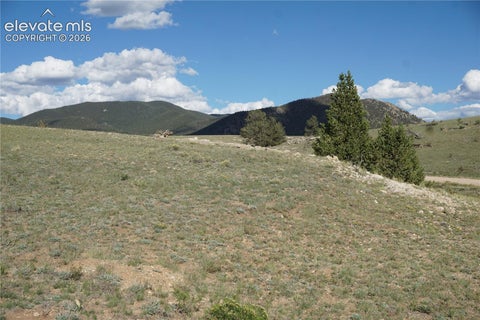 Photo of 907 Walls Street, Hartsel, CO 80449 (MLS # 3388609)