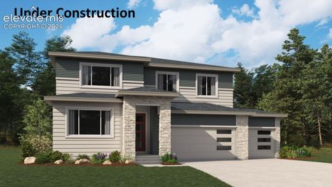 Photo of 10623 Grace Manor Drive, Peyton, CO 80831 (MLS # 2808761)