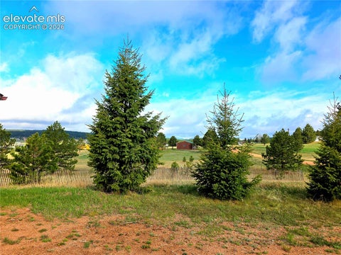 Tiny photo for 891 S Mountain Estates Road, Florissant, CO 80816 (MLS # 3574503)