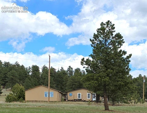 Photo of 891 S Mountain Estates Road, Florissant, CO 80816 (MLS # 3574503)