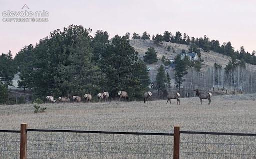 350 High Pasture Road