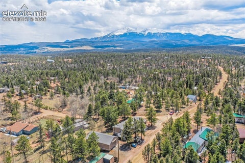 Tiny photo for 784 Blossom Road, Woodland Park, CO 80863 (MLS # 6319131)