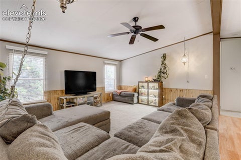 Tiny photo for 784 Blossom Road, Woodland Park, CO 80863 (MLS # 6319131)