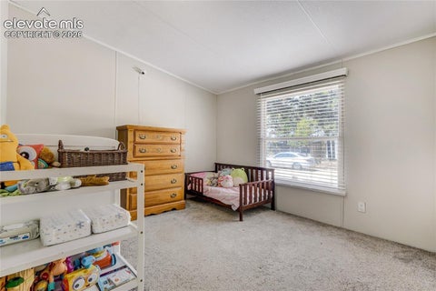 Tiny photo for 784 Blossom Road, Woodland Park, CO 80863 (MLS # 6319131)