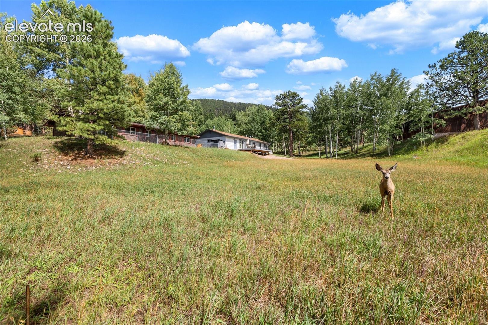 1035 Park View Road