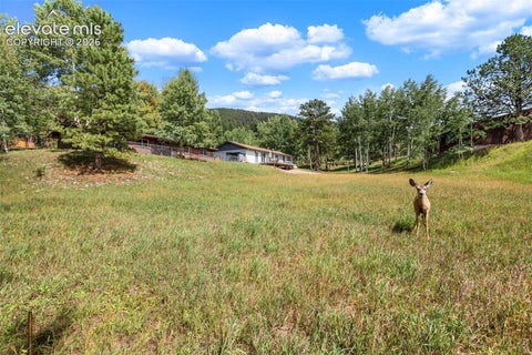 Tiny photo for 1035 Park View Road, Woodland Park, CO 80863 (MLS # 3761444)
