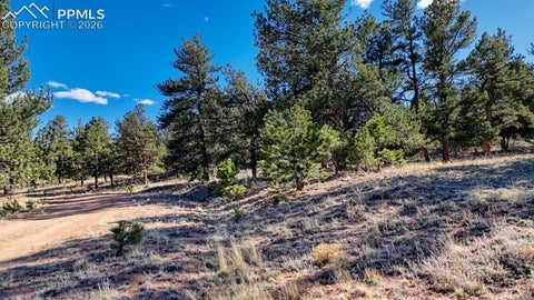 Photo of 5124 Arikara Trail, Hartsel, CO 80449 (MLS # 3284991)