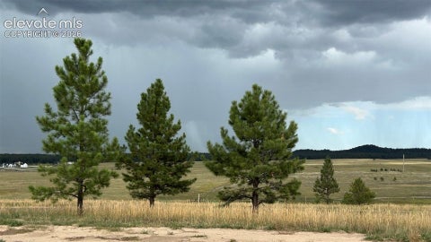 Photo of 18835 Cherry Springs Ranch Drive, Monument, CO 80132 (MLS # 8994194)