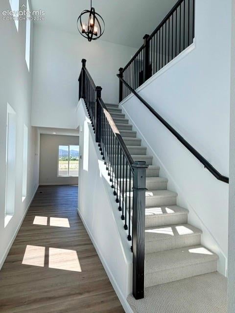 17784 Brass Buckle Way