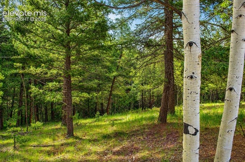 Photo of 123 Ellis Lake Circle, Divide, CO 80814 (MLS # 8074099)