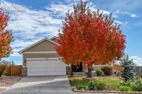Photo of 7985 Kettle Drum Street, Colorado Springs, CO 80922 (MLS # 7081536)