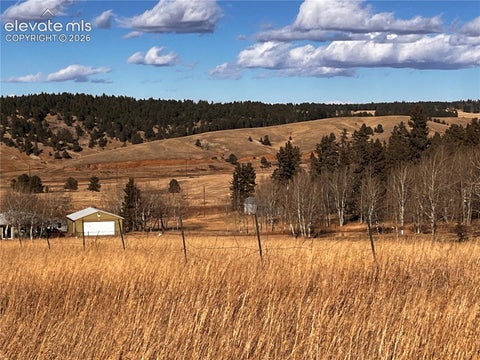 Photo of 216 Will Scarlet Drive, Divide, CO 80814 (MLS # 3506153)