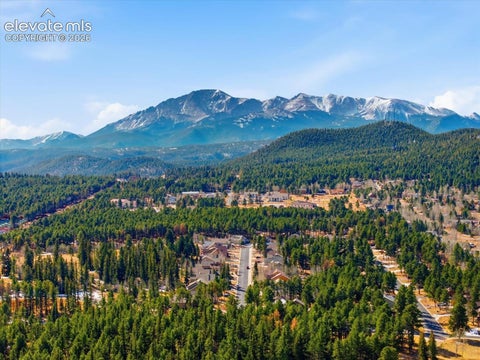 Tiny photo for 1309 Stone Ridge Drive, Woodland Park, CO 80863 (MLS # 5158857)