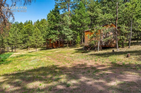 Tiny photo for 986 Apache Road, Florissant, CO 80816 (MLS # 6106041)