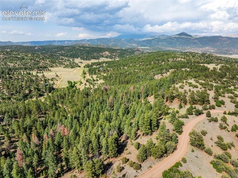 Tiny photo for 986 Apache Road, Florissant, CO 80816 (MLS # 6106041)