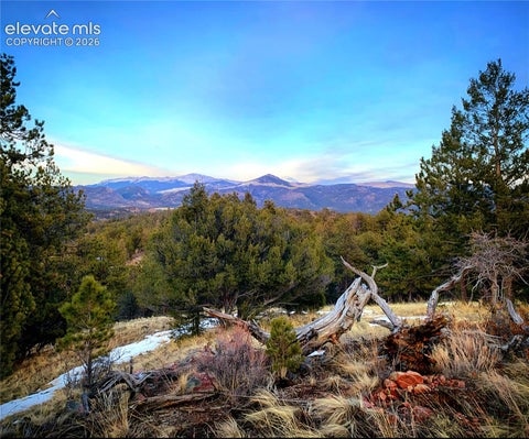 Tiny photo for 986 Apache Road, Florissant, CO 80816 (MLS # 6106041)