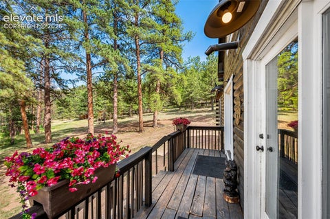 Tiny photo for 986 Apache Road, Florissant, CO 80816 (MLS # 6106041)