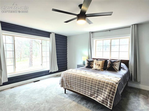Tiny photo for 986 Apache Road, Florissant, CO 80816 (MLS # 6106041)