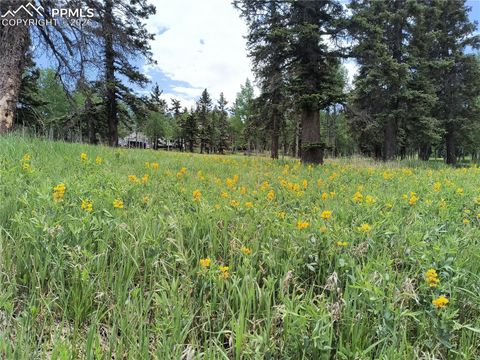 Photo of Will Scarlet Drive, Divide, CO 80814 (MLS # 3635935)