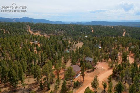 Tiny photo for 748 Pinewood Road, Florissant, CO 80816 (MLS # 3315007)