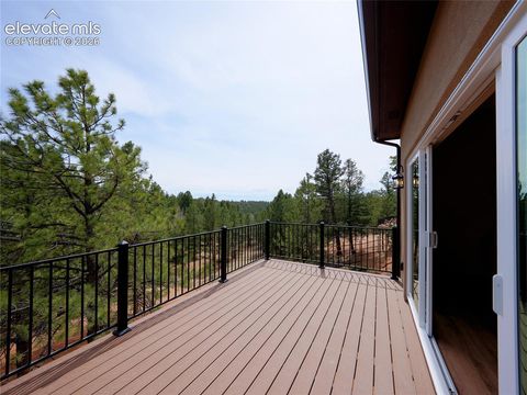 Tiny photo for 748 Pinewood Road, Florissant, CO 80816 (MLS # 3315007)